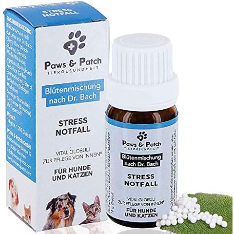 Paws & Patch thumbnail