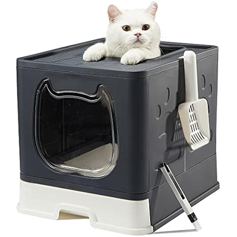 Pawsayes thumbnail