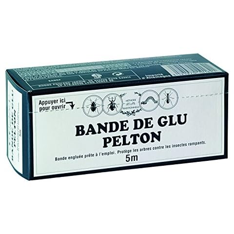 PELTON thumbnail