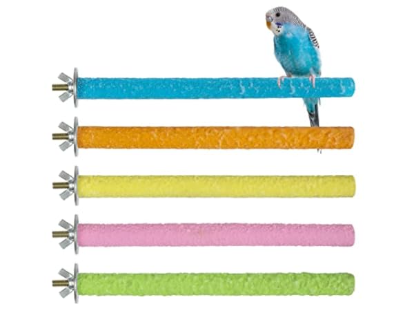 Perchas para pájaros Miniatura