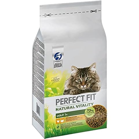 Perfect Fit Cat thumbnail
