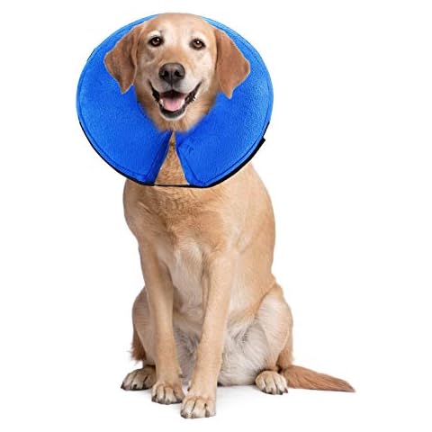 PET SPPTIES thumbnail
