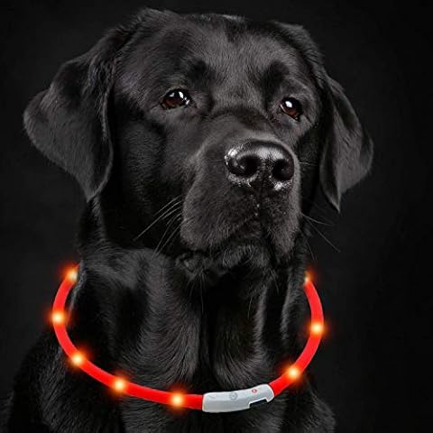 Petgold thumbnail