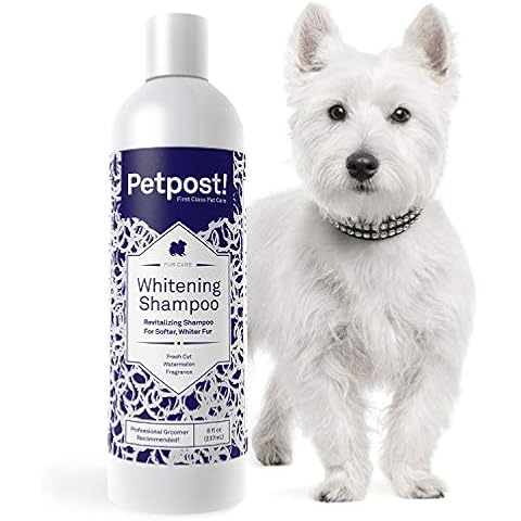 Petpost thumbnail