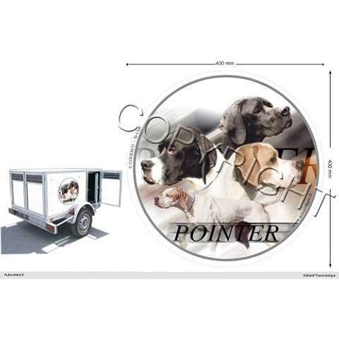 Pets-Easy.com thumbnail