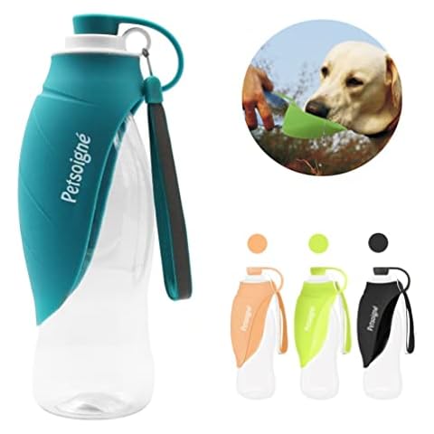 Petsoigné thumbnail
