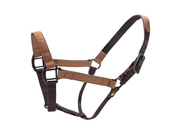 Pferdehalfter Vorschaubild