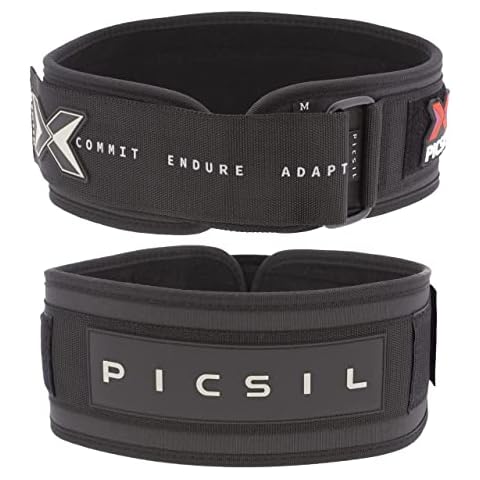 PICSIL thumbnail