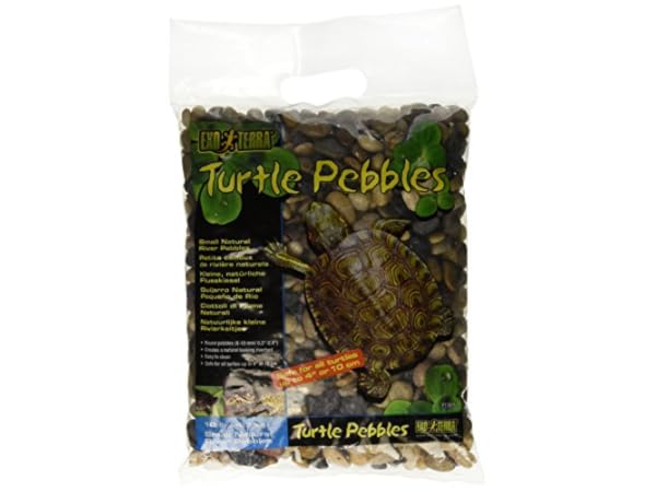 Piedras hábitats reptiles y anfibios Miniatura