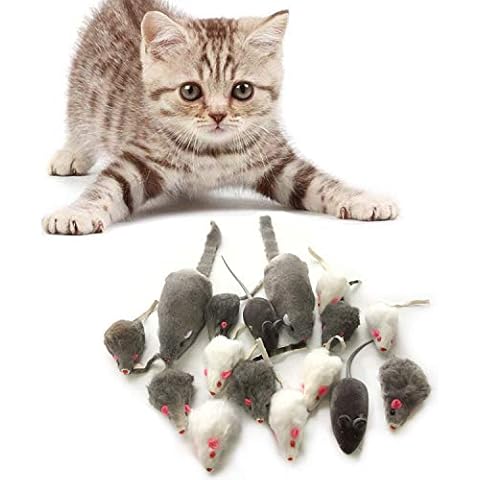 PietyPet thumbnail