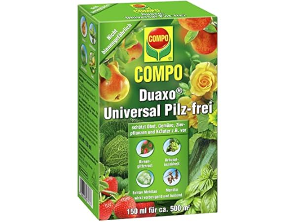 Pilzbekämpfung Vorschaubild