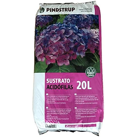 PINDSTRUP thumbnail
