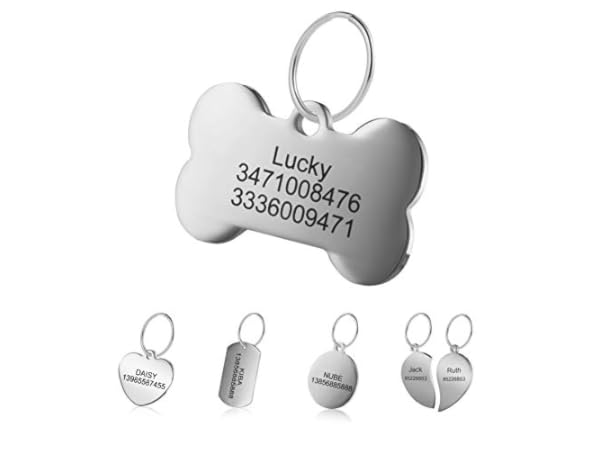 Placas de identificación para perros Miniatura