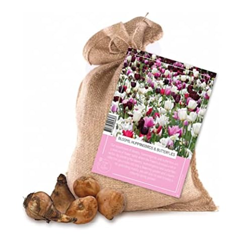 PLANT & BLOOM LIFESTYLE thumbnail