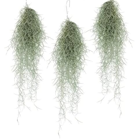 Plant In A Box thumbnail