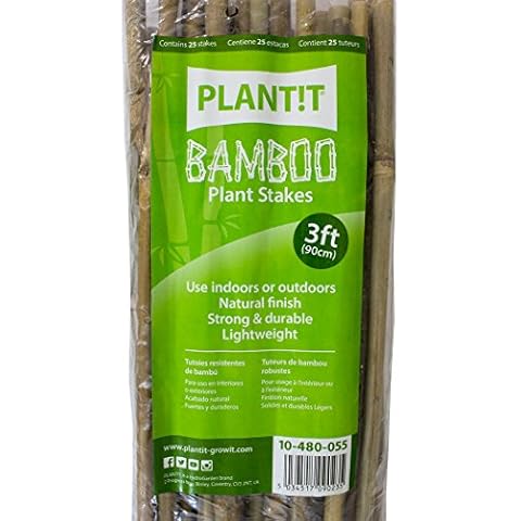 Plant it thumbnail