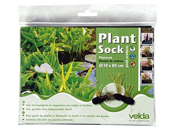 Plantas acuáticas de exterior Miniatura