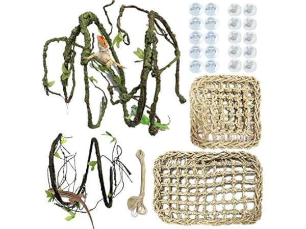 Plantas hábitats reptiles y anfibios Miniatura