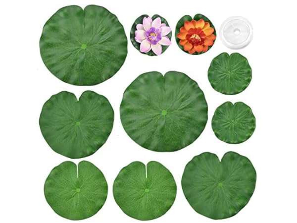 Plantas y flores para estanques y jardines de agua Miniatura