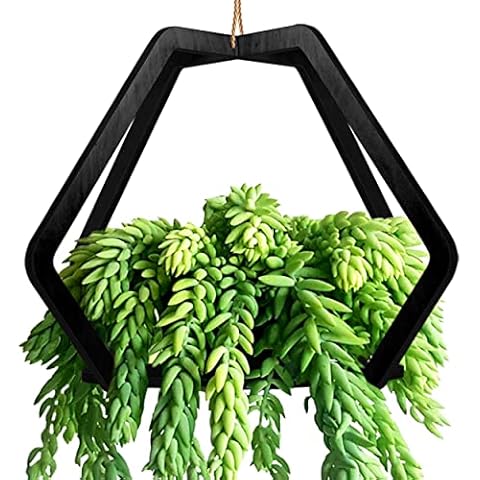 PlantBox thumbnail