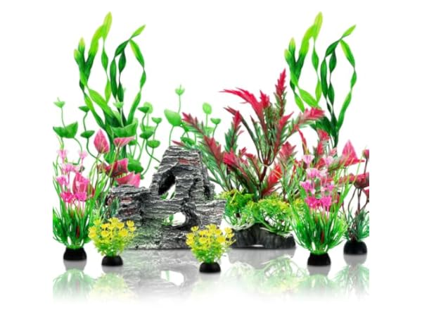 Plantes d'ornement pour aquarium Vignette