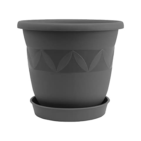 Plastard thumbnail