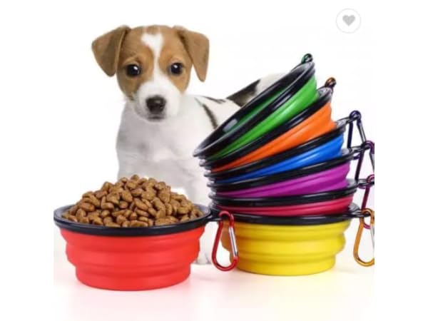 Platos de viaje para perros Miniatura