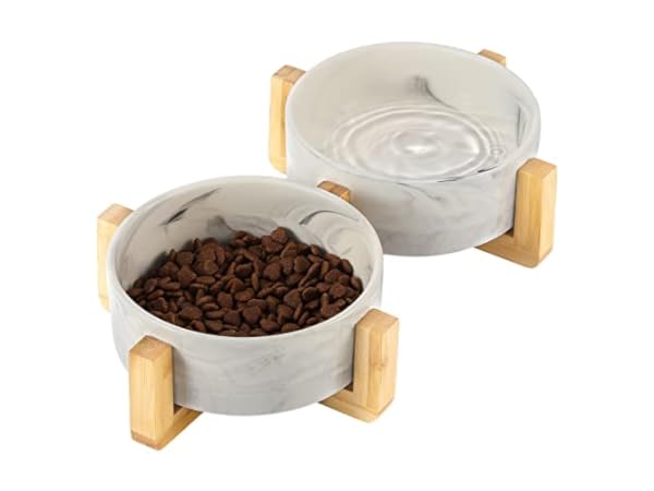 Platos para gatos Miniatura