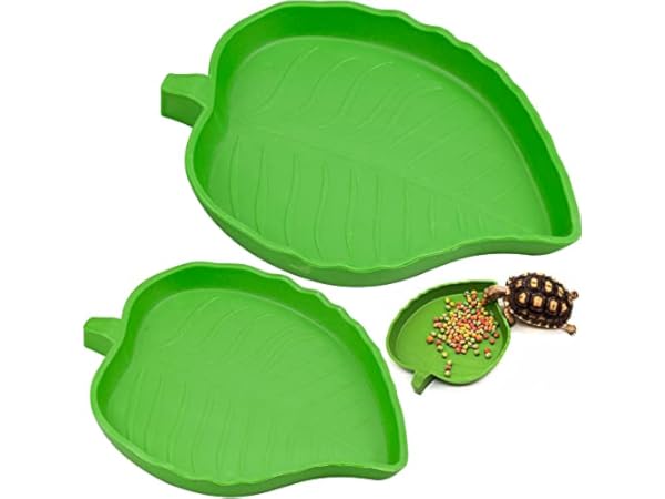 Platos para terrarios Miniatura