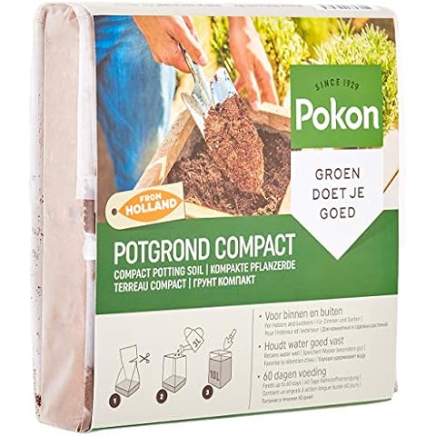 Pokon thumbnail