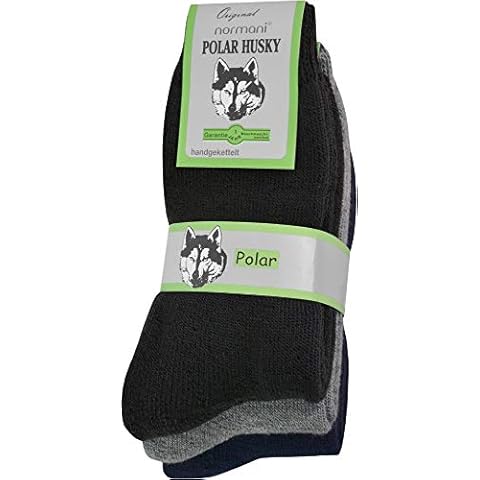 Polar Husky thumbnail