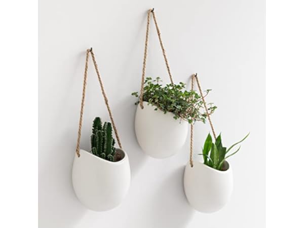 Pots de fleurs à suspendre Vignette