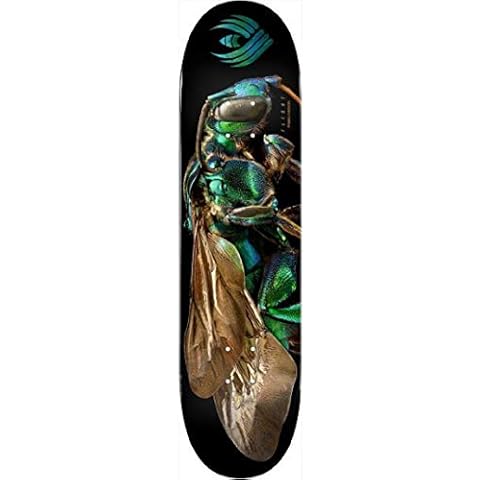 Powell Peralta thumbnail