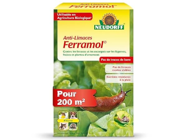 Protection du jardin contre les limaces Vignette