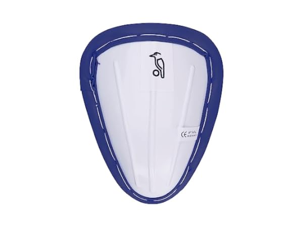Protections cricket Vignette