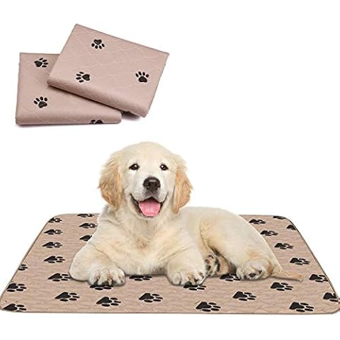 PUPOUSE thumbnail