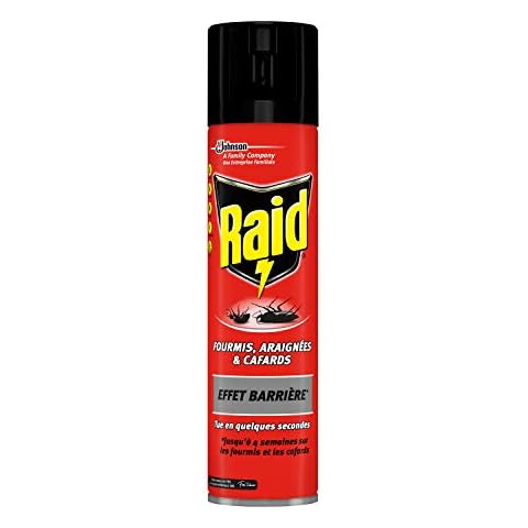 Raid thumbnail