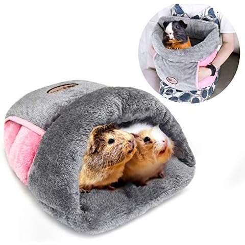 RANYPET thumbnail