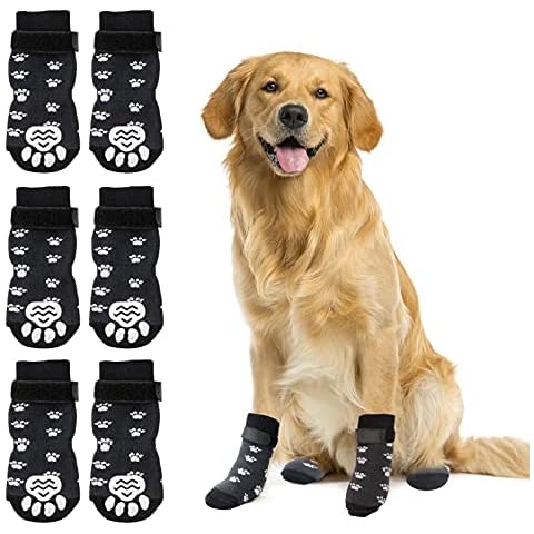 RANYPET thumbnail