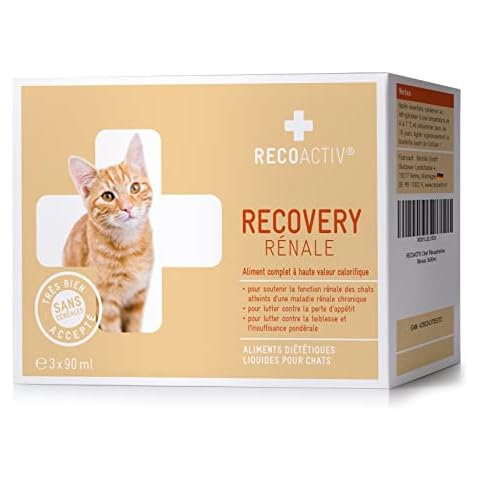 RECOACTIV thumbnail