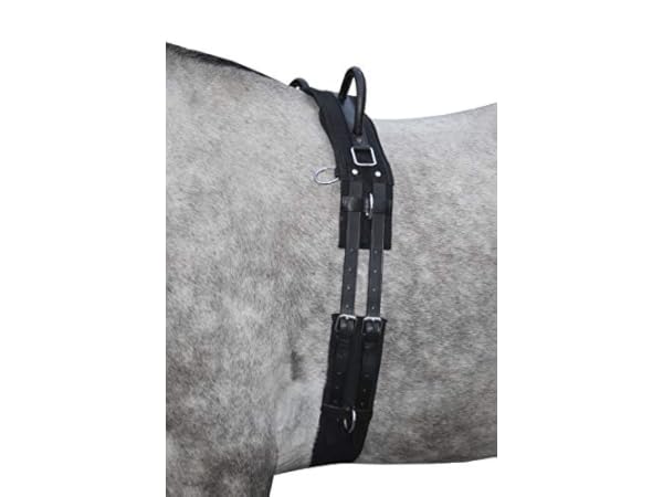 Reitgurte Vorschaubild