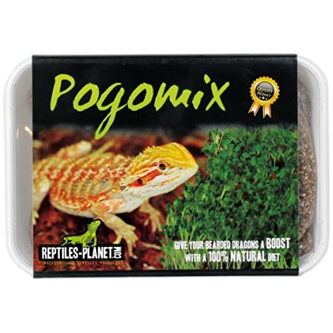 Reptiles Planet thumbnail