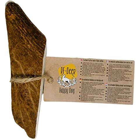 RF - Deer thumbnail