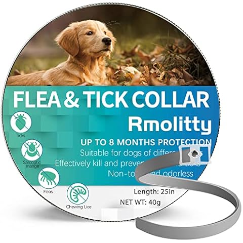 Rmolitty thumbnail