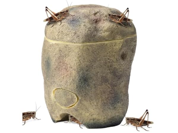 Rochers pour reptiles et amphibiens Vignette