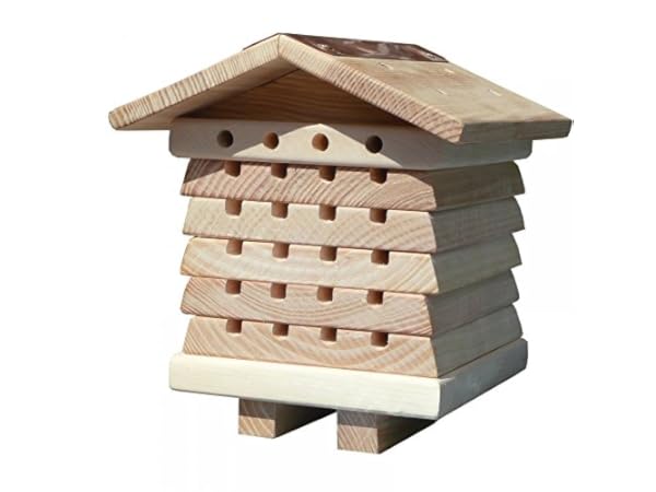 Ruches pour abeilles solitaires Vignette