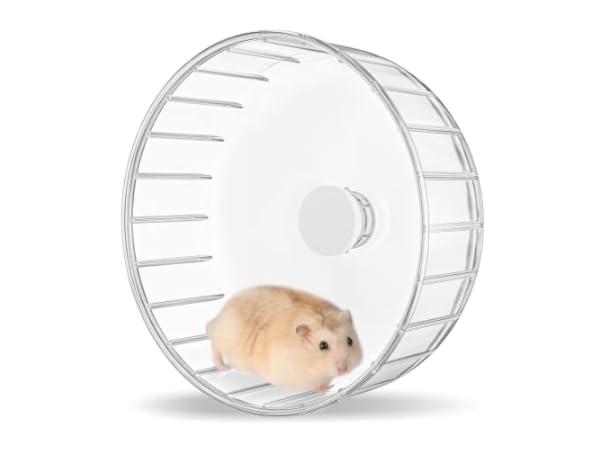 Ruedas de ejercicio animales pequeños Miniatura