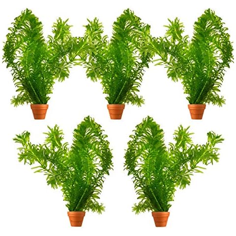 S VD VELDE WATERPLANTEN thumbnail