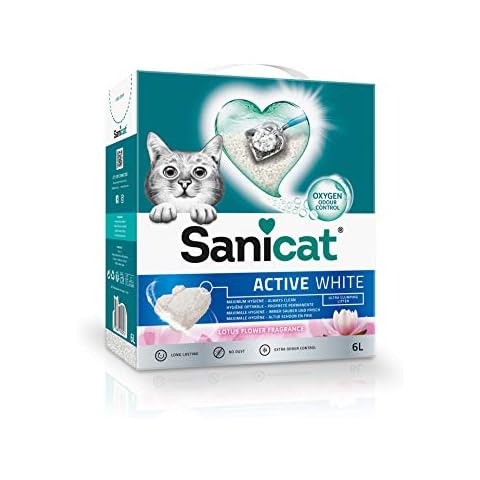 Sanicat thumbnail