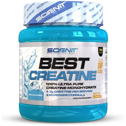 Scenit Redefining your Body thumbnail
